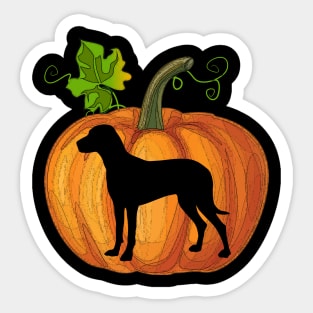 Vizsla in pumpkin Sticker